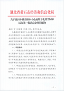黃石市經信局關于組織申報省級中(zhōng)小(xiǎo)企業數字化轉型城市試點第一(yī)批試點企業的